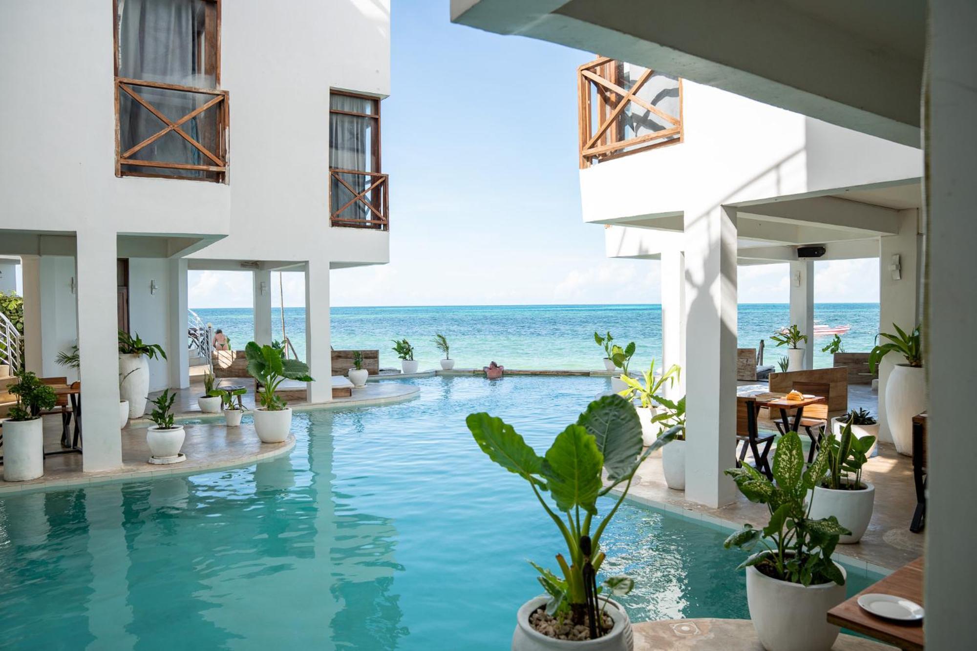 Pili Pili Tropical Beach Jambiani  Eksteriør billede